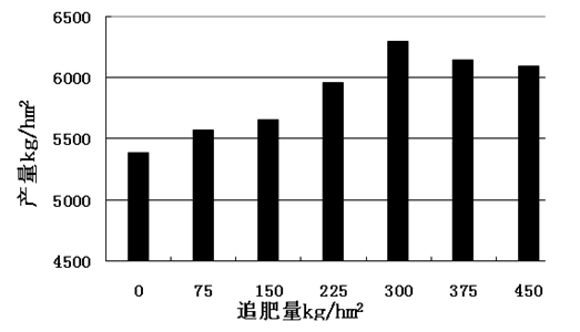 今年小麥起身期與拔節期管理