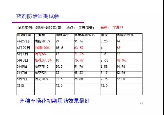 小麥赤霉病全解